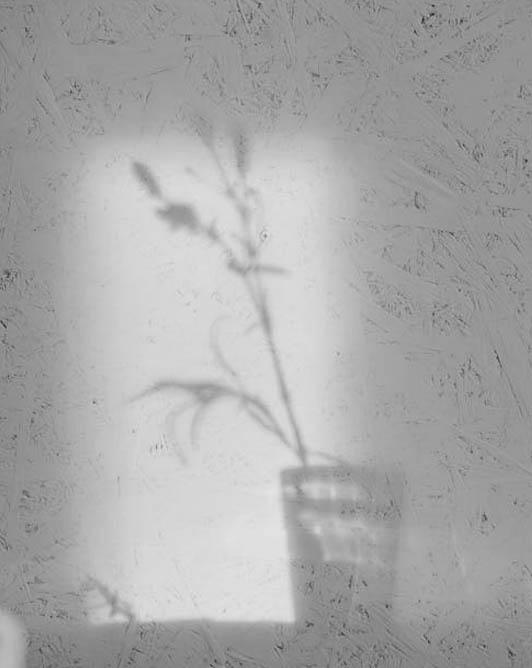 그림자 연출 이미지